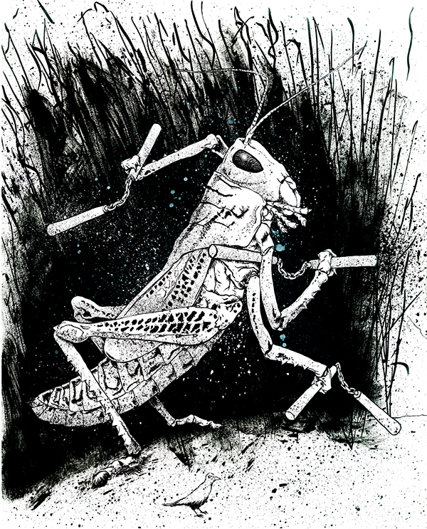 Image of a Grasshopper weilding nunchucks - Artist: Jonas Hastings
