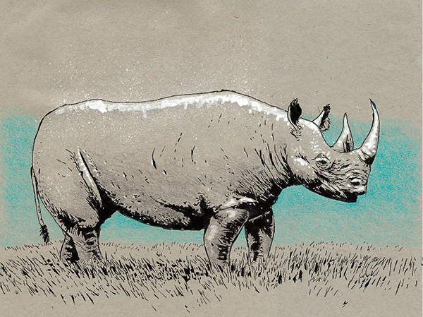 Image of a Gray Rhinoceros - Artist: Jonas Hastings